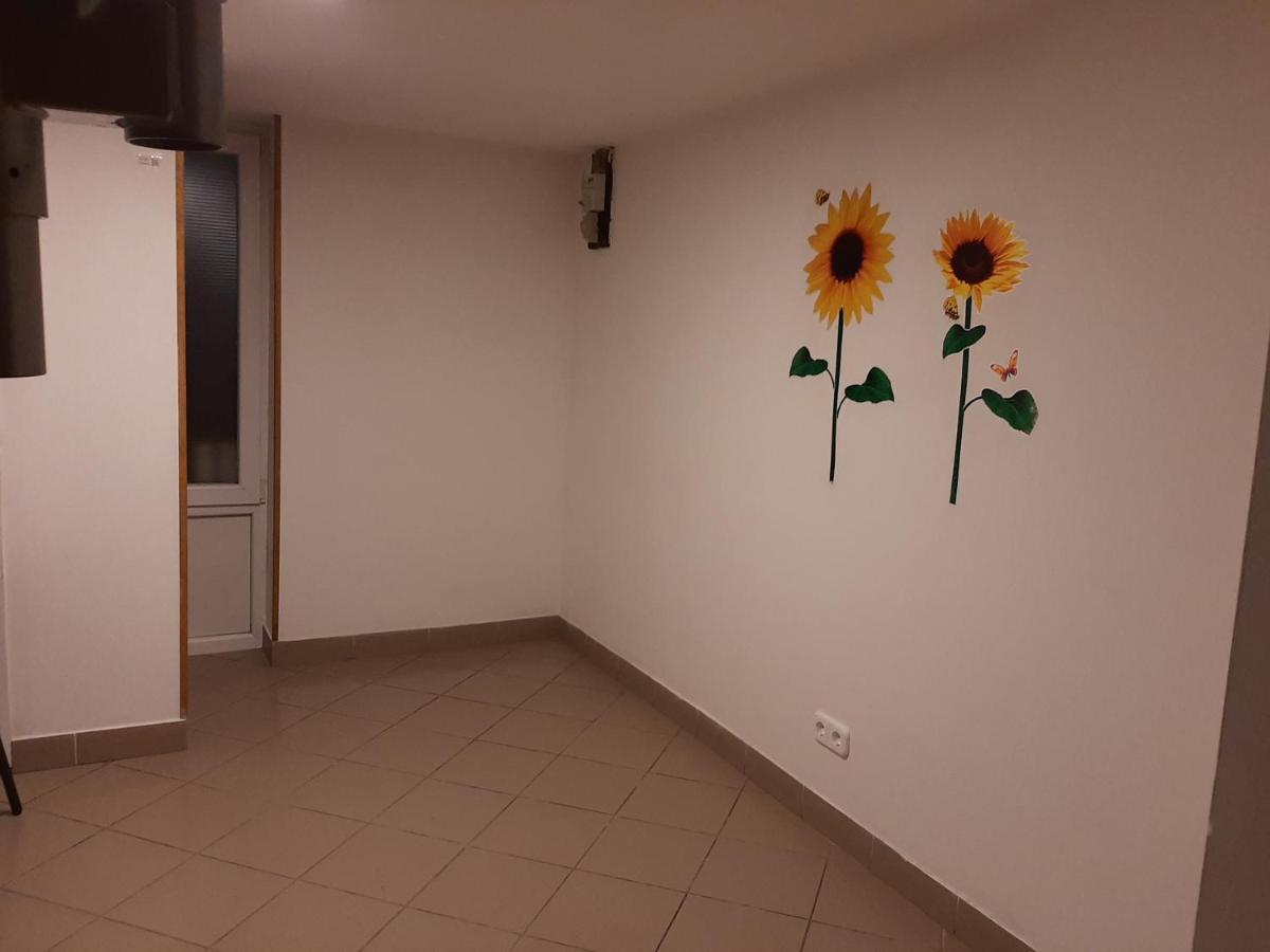 ブダペストApartman Vorosmartyアパートメント エクステリア 写真